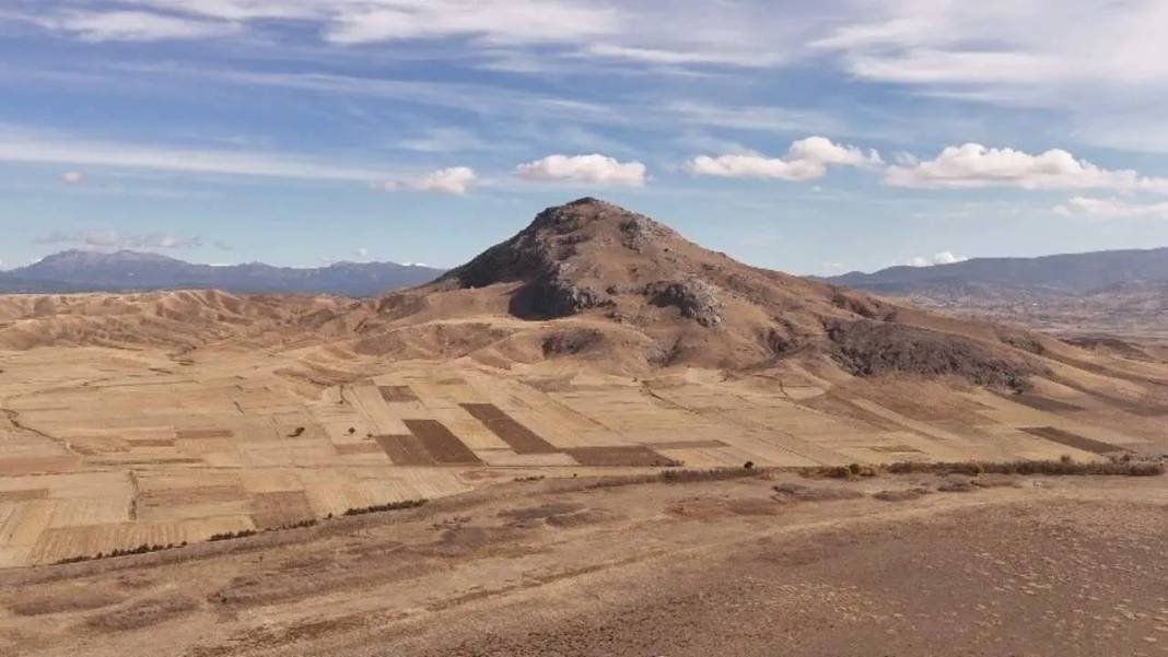 Flamingo Cenneti Karataş Gölü’nde Artık Hayvanlar Otluyor! 4